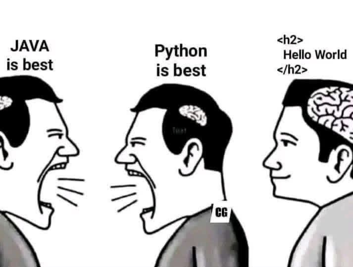 ⁉️ Quel est le meilleur langage de programmation ?